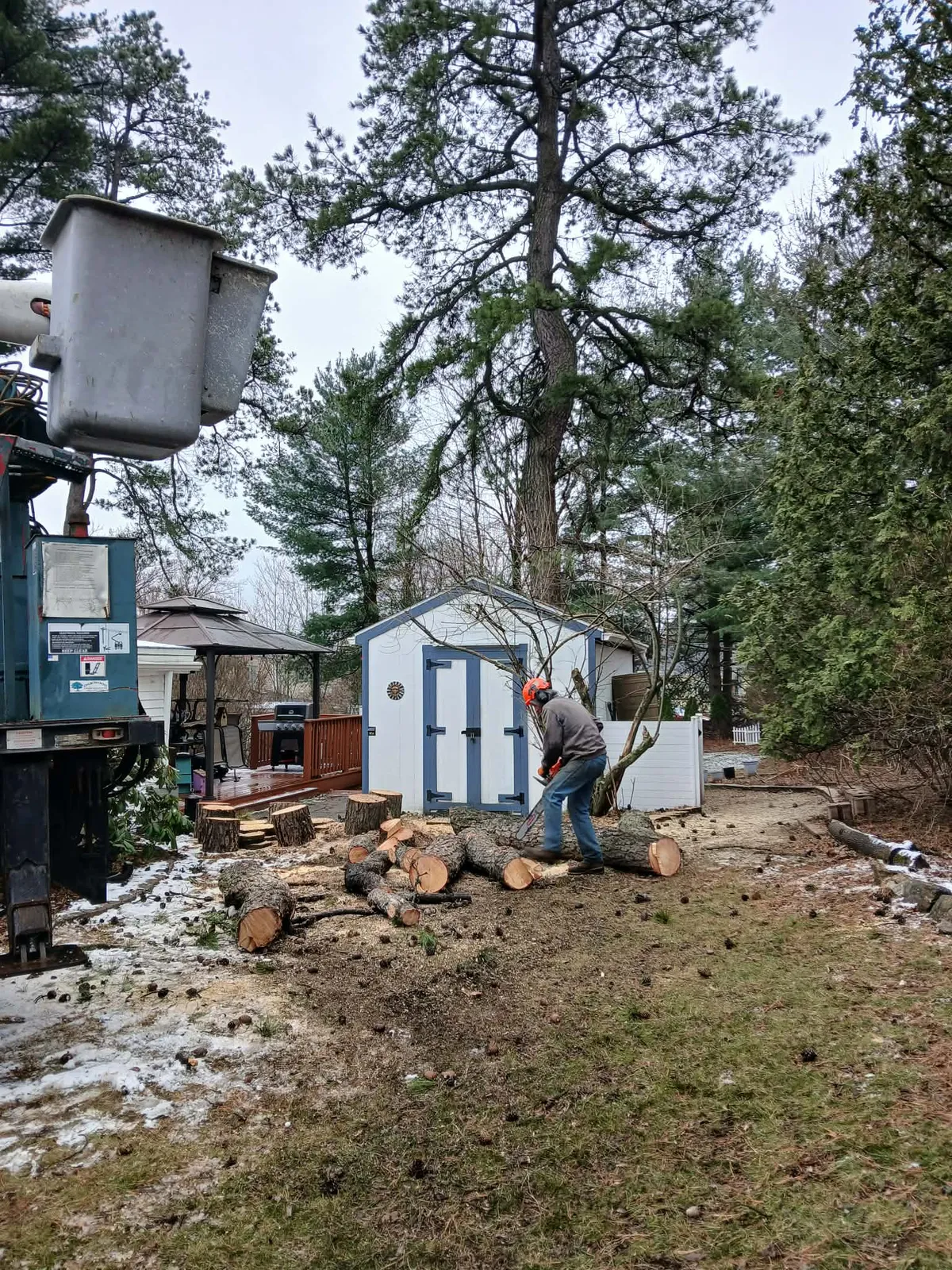 work photo from Google listing