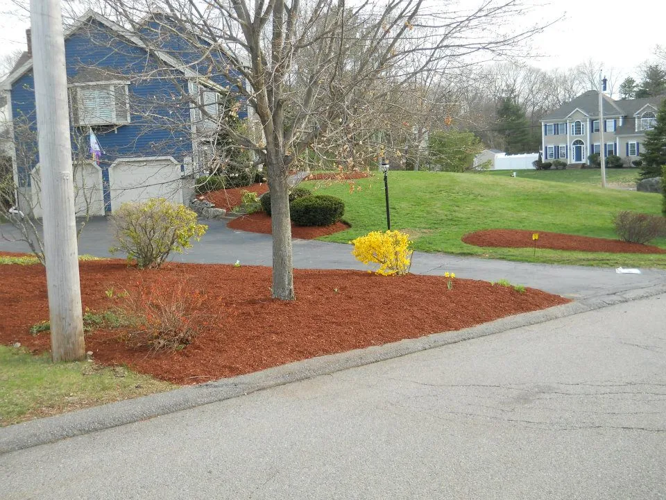 The Lawn King researched project photo