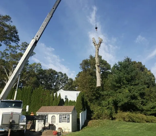 E. Alvarez Construction LLC work photo