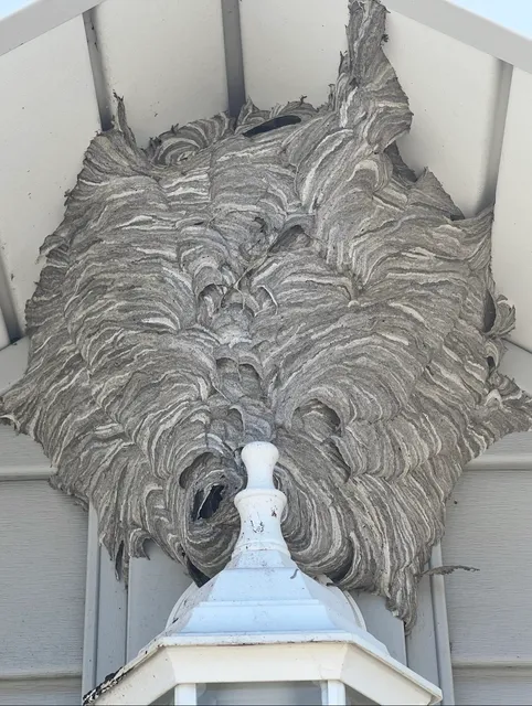 Blouin Pest Services work photo