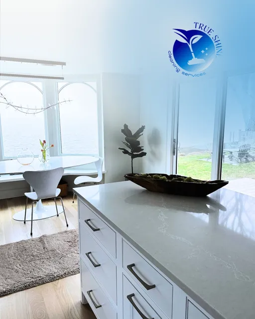 True Shine Cleaning Services work photo