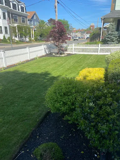 Velvet Green Organic Lawn Care work photo