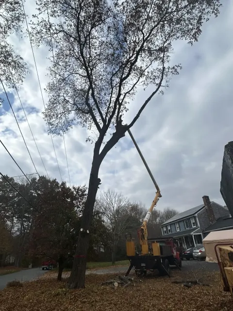 Xpert Tree Services Equipment