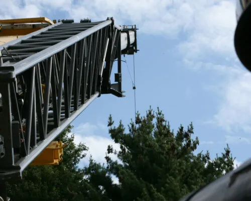 Close up short of crane being used to assist a tree service team member into a large white pine tree.