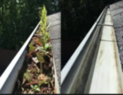gutter before and after.jpeg