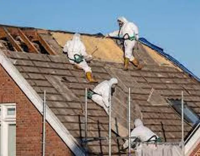 Budget Abatement work photo