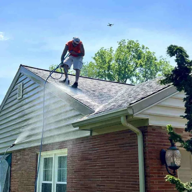 South Coast Shingle Savers work photo