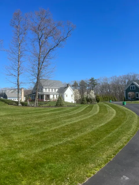 A sunny suburban neighborhood with well-maintained lawns, houses, and trees, under a clear blue sky.