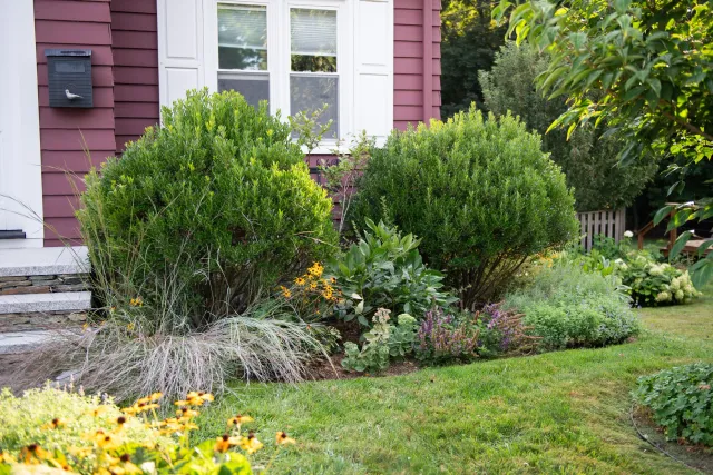 Foundation Garden_Shure_Holden_02.jpg