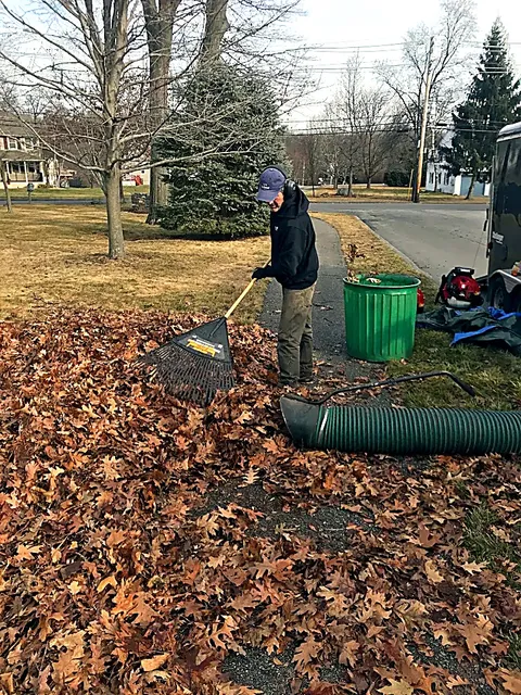 Fall leaf cleanup