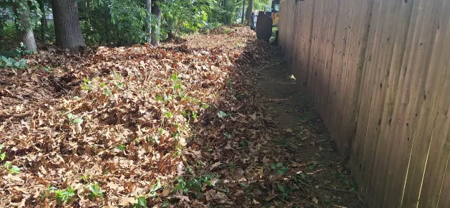 work photo from estebans-landscaping.com