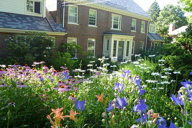 work photo from thegardencontinuum.com