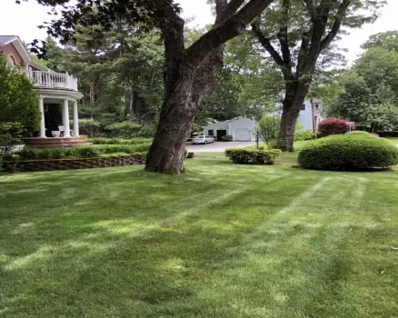 work photo from palandjianlandscaping.com