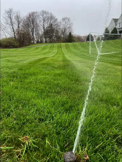 Its Green work photo