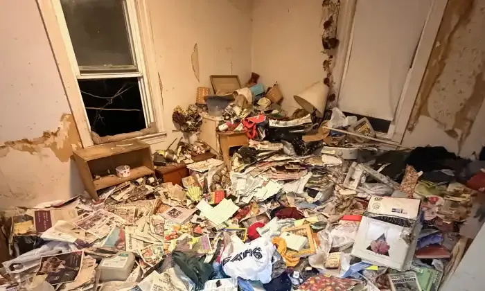 Property cleanout