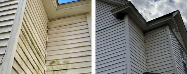Algae Removal