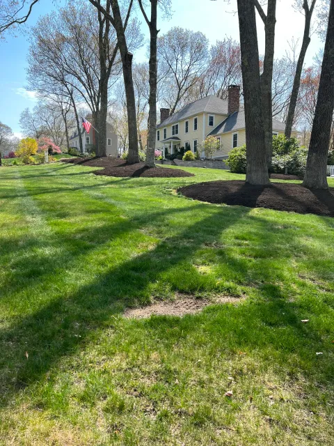 work photo from dtandsonlandscapingllc.com