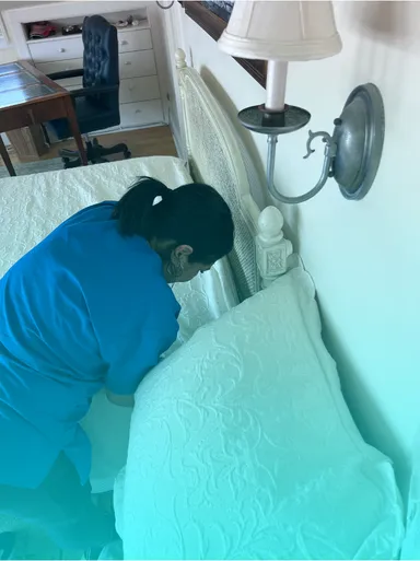 work photo from xprocleans.com