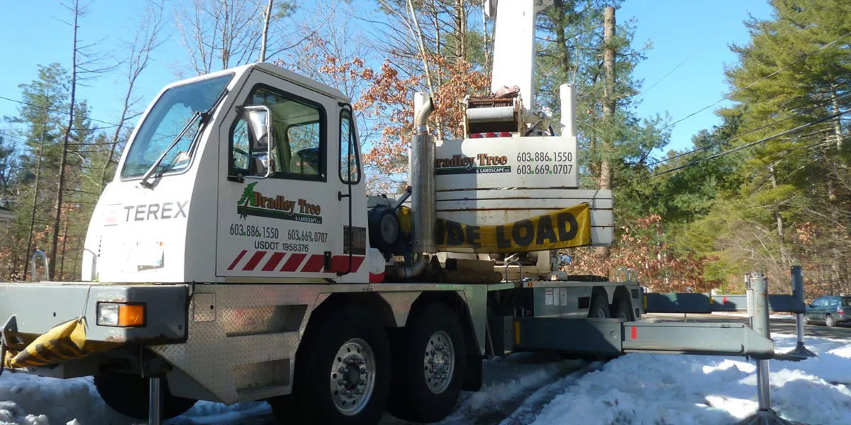 bradley tree crane set up