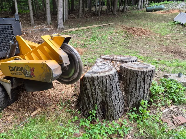 We sent Paul to Casco, Harrison and Oxford this week! Maineland Stump Grinding is staying busy traveling around this beautiful state meeting great people while grinding stumps. #thewaylifeshouldbe #mainelandstumpgrinding #stumps #stumpsgone #stumpgrinding #stump #stumpremoval #stumpgrindingmaine #quotestumps #askusforastumpgrindingquote #stumpgrindingwindham #stumpgrindinggorham #stumpgrindingcasco #stumpgrindingoxford #stumpgrindingharrison