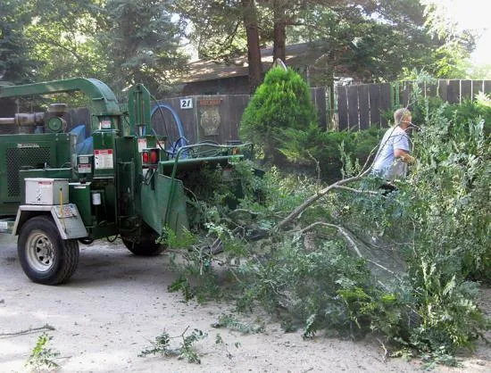 work photo from capecodtreeservices.com