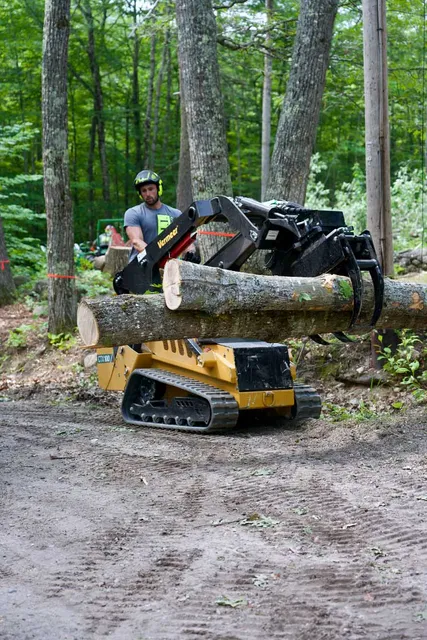 work photo from gardnertreeme.com
