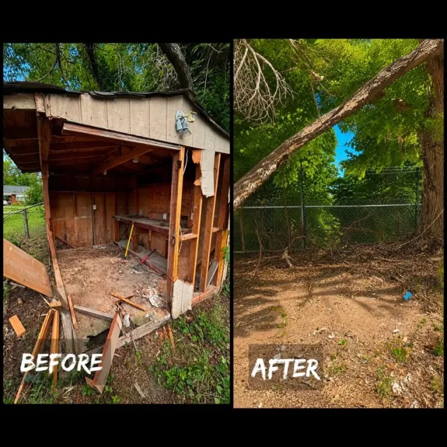 Backyard Shed Demolition & Clearance — Before & After