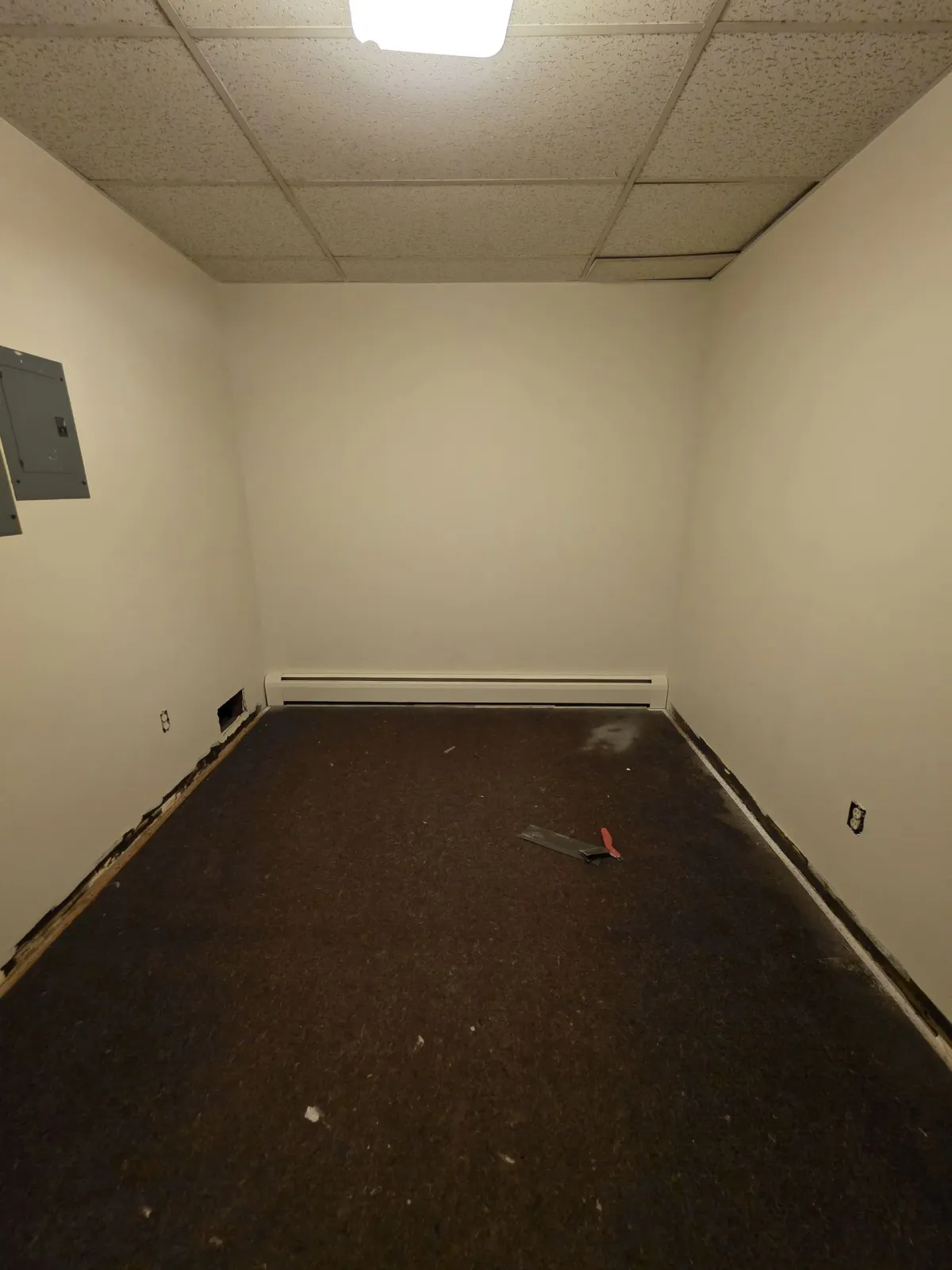 Empty beige room with drop ceiling, dark carpet, and wall utility panels.