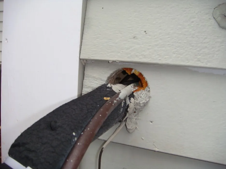 work photo from batguys.com