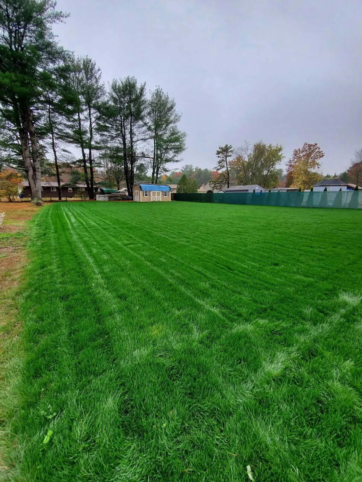 Hopkins lawn care - after