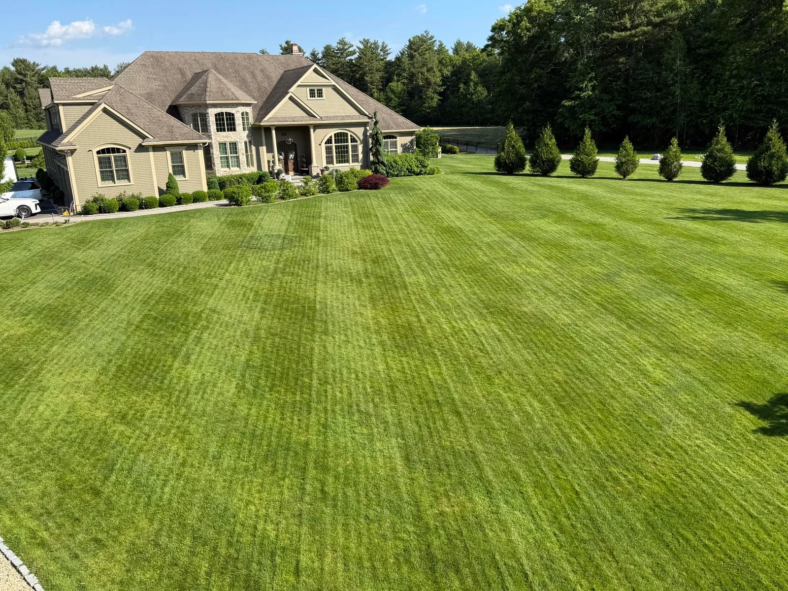 work photo from proturfcare.net