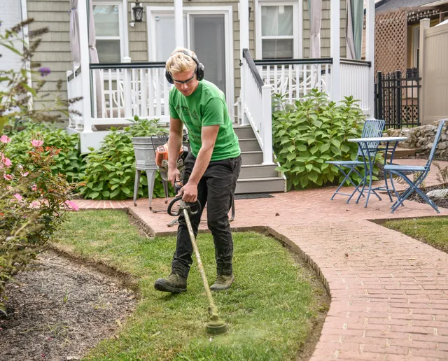 Early Bird Lawns work photo