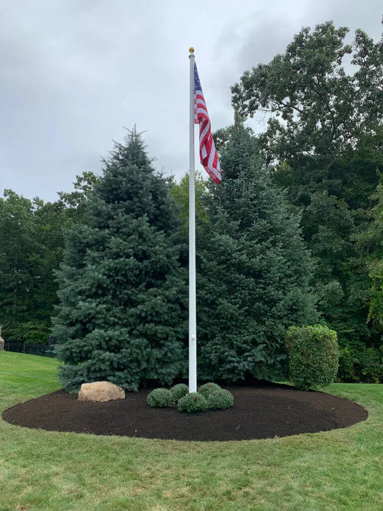 A flag pole in the middle of some trees
