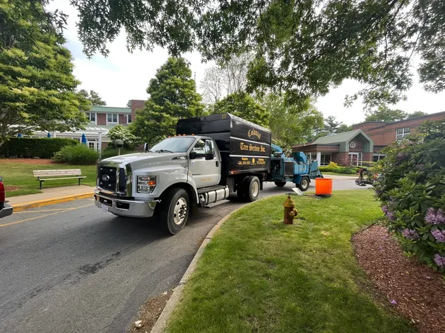 work photo from treeservicekingston.net