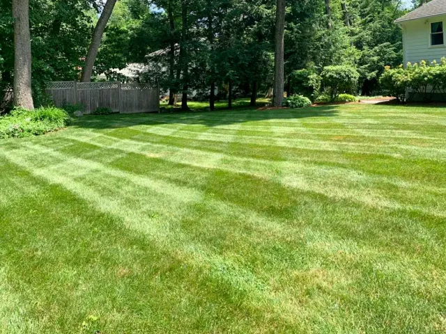 work photo from juniorlandscapingbedford.com