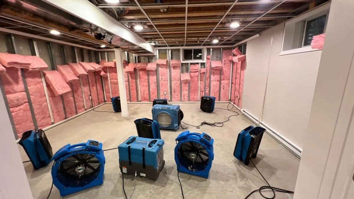 Air movers and dehumidifiers arranged in a basement with exposed framing