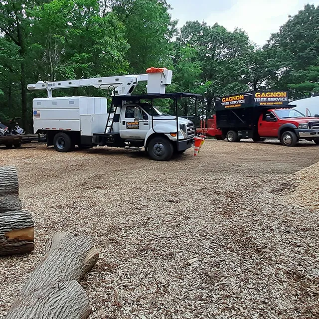 work photo from gagnontree.com