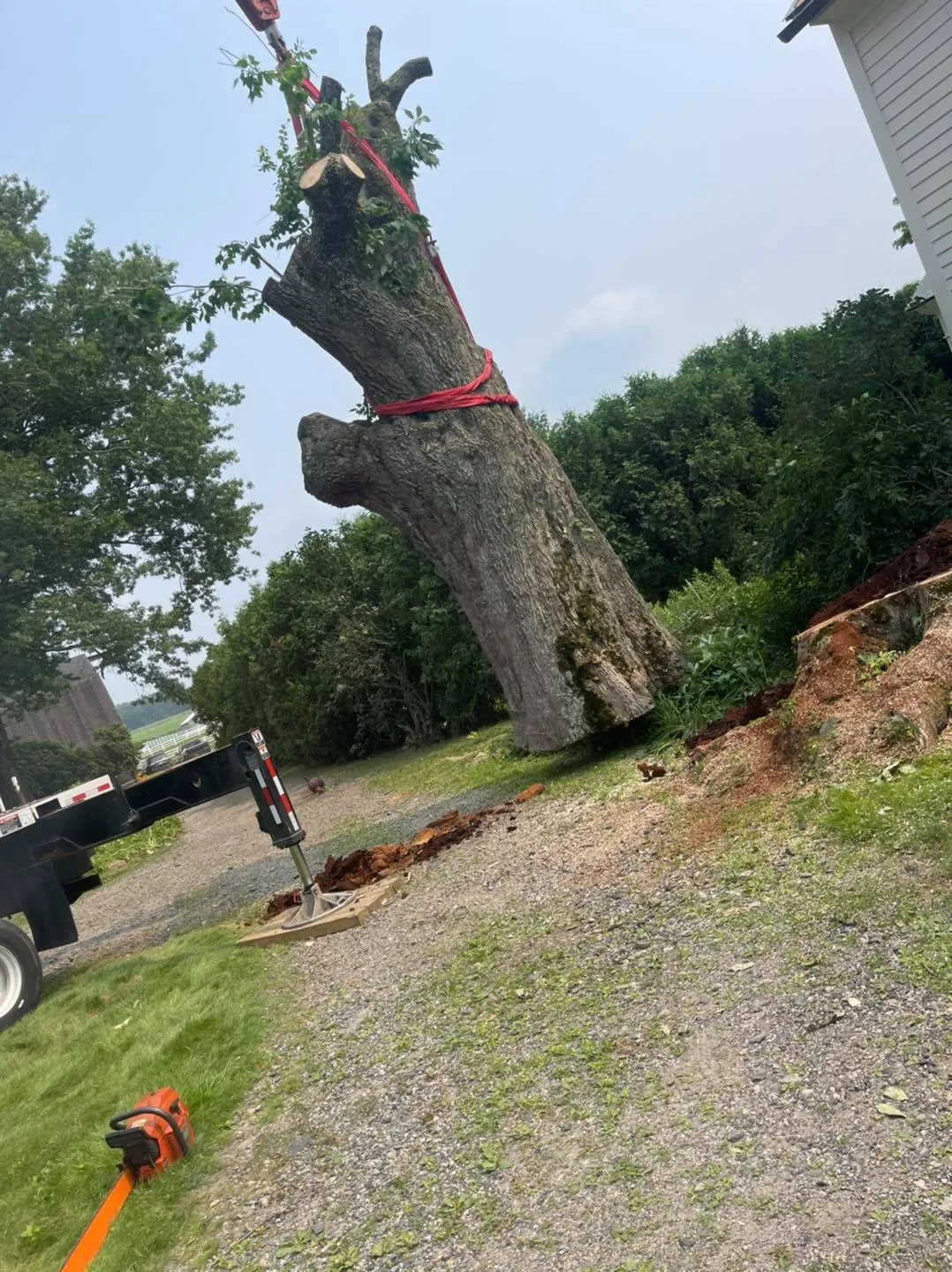 J. Bonin Tree Services, LLC verified work photo