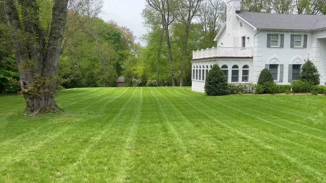 𝐂𝐔𝐋𝐓𝐔𝐑𝐀𝐋 𝐋𝐀𝐖𝐍𝐒 𝐋𝐋𝐂 [Landscaping And 𝐋𝐚𝐰𝐧 𝐒𝐞𝐫𝐯𝐢𝐜𝐞] work photo