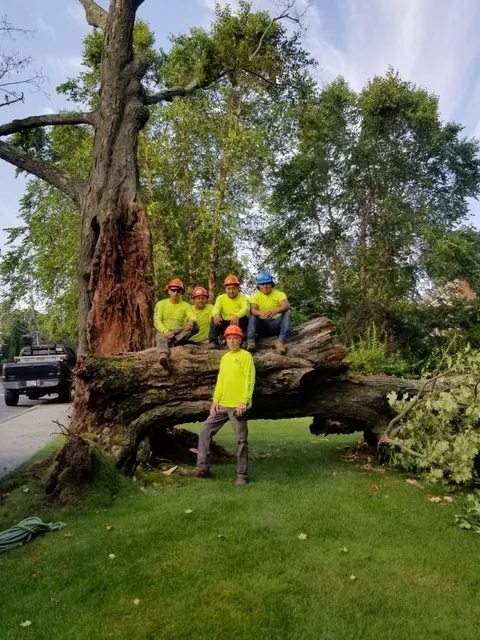 RGS Tree Service Inc