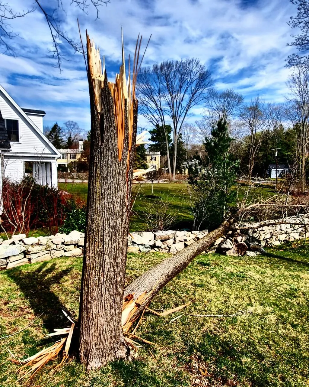 work photo from tjcollinslandscaping.com