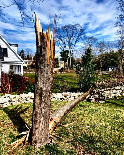 work photo from tjcollinslandscaping.com