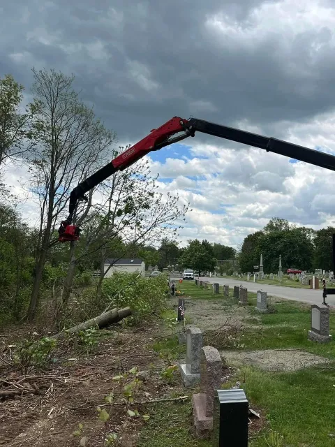work photo from gotreeservices.com