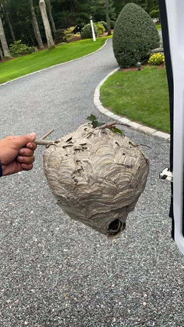 Bug Off Pest Control work photo