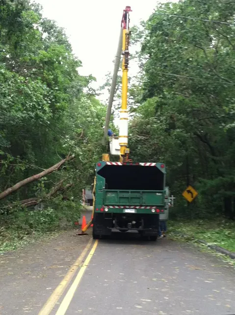 work photo from rttreeremoval.com