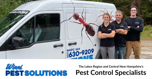 Winni Pest Solutions work photo
