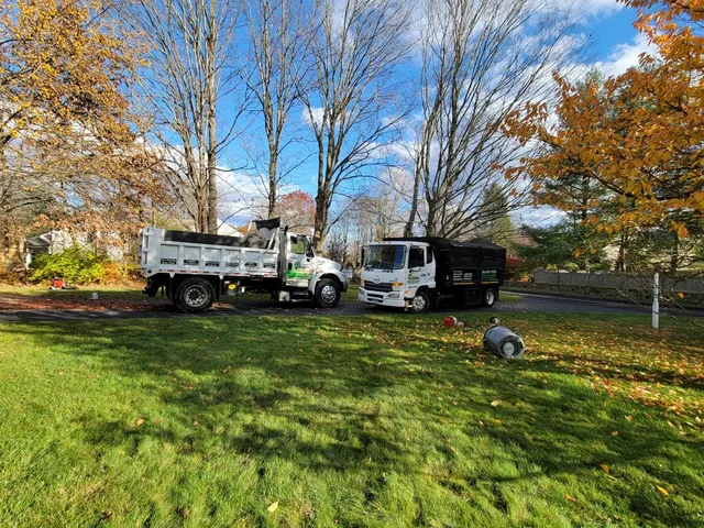 work photo from angelotreeservices.com