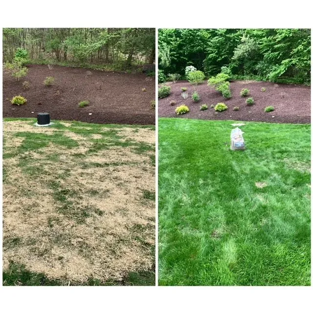 work photo from lattanziolandscaping.com