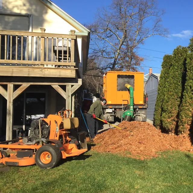 Lowe's Landscaping Services, LLC work photo