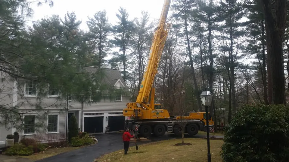 work photo from johncarusolandscaping.com